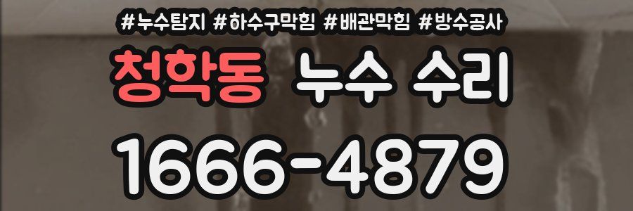 청학동 누수 수리