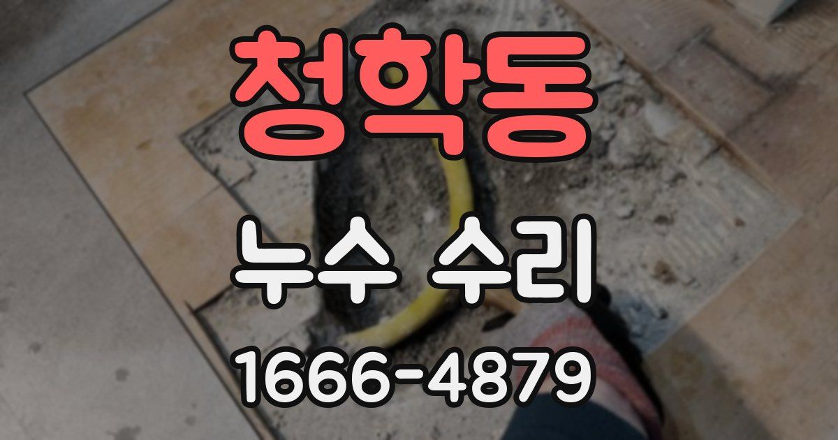 청학동 누수 수리