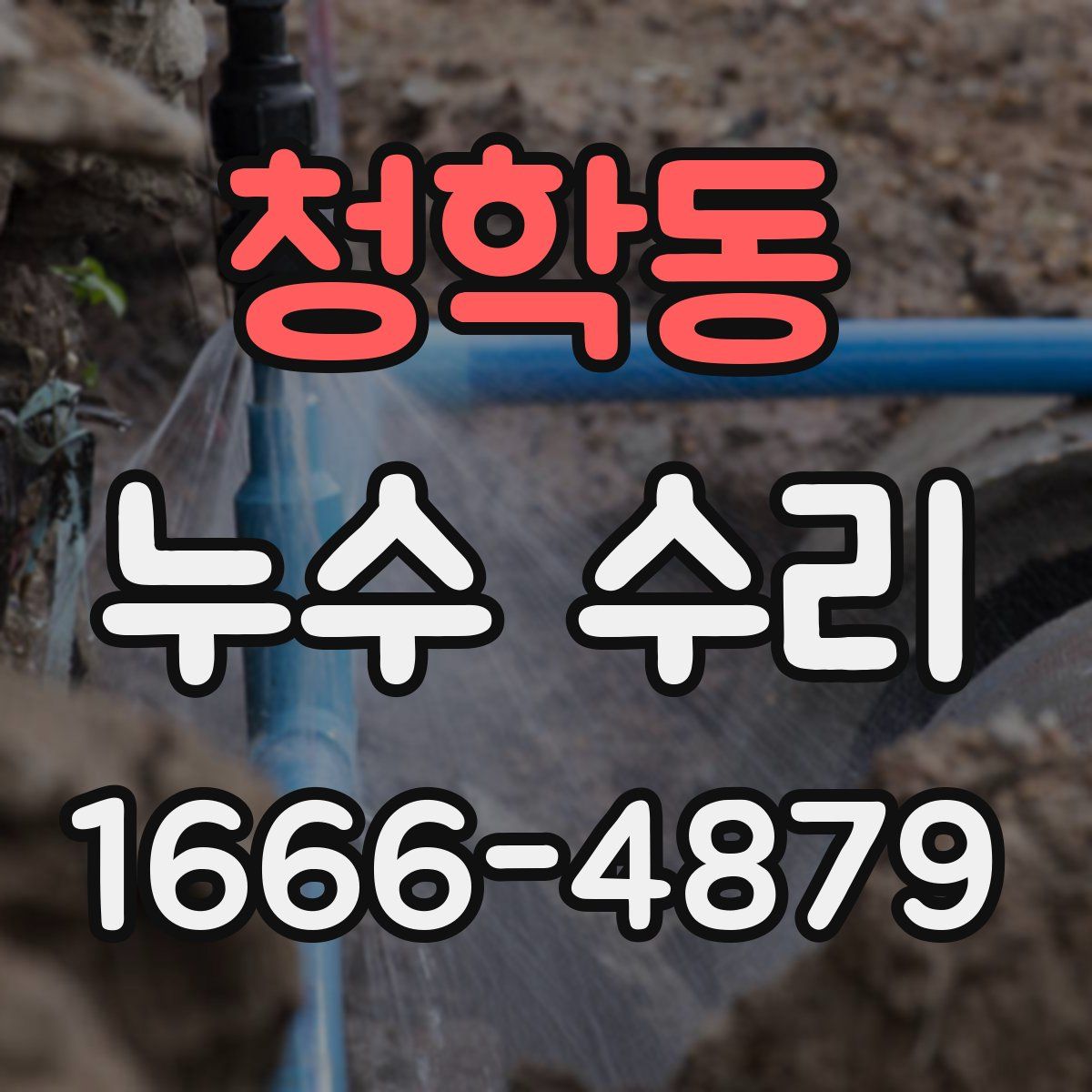 청학동 누수 수리
