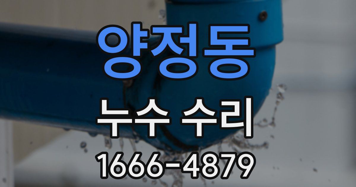 양정동 누수 수리