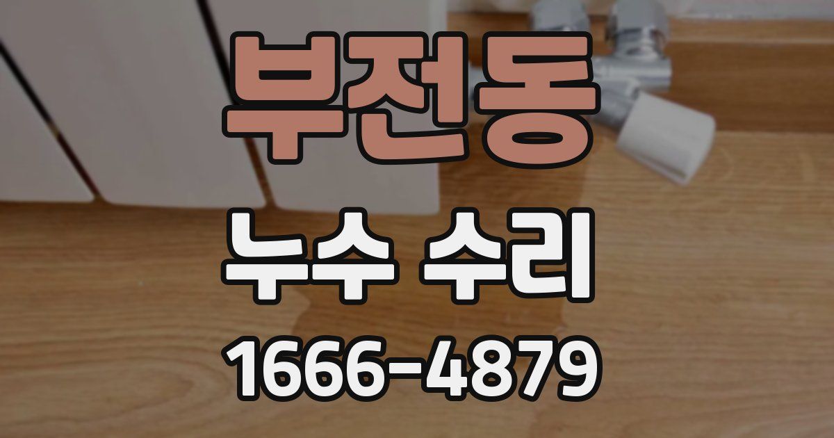 부전동 누수 수리