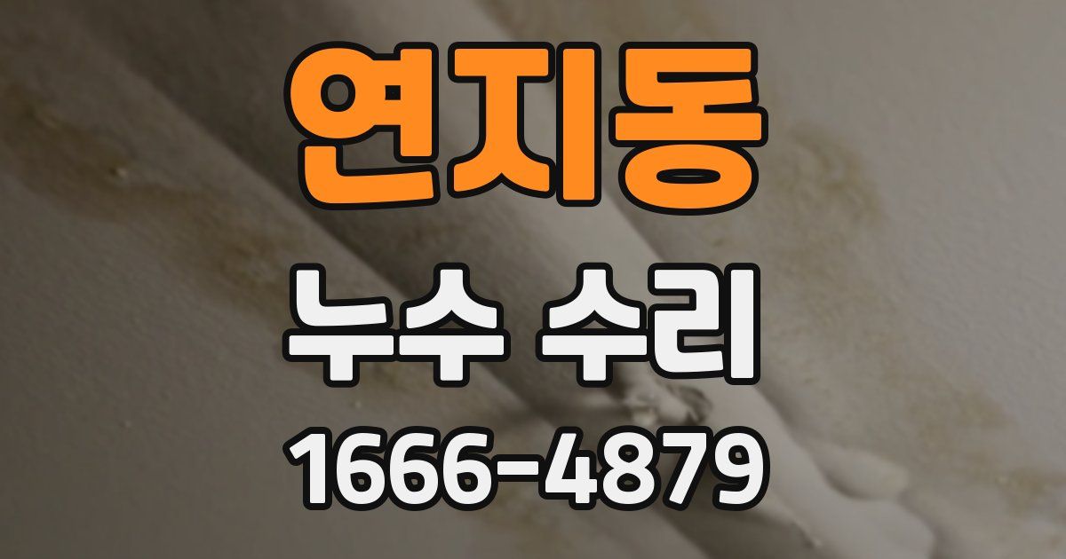 연지동 누수 수리