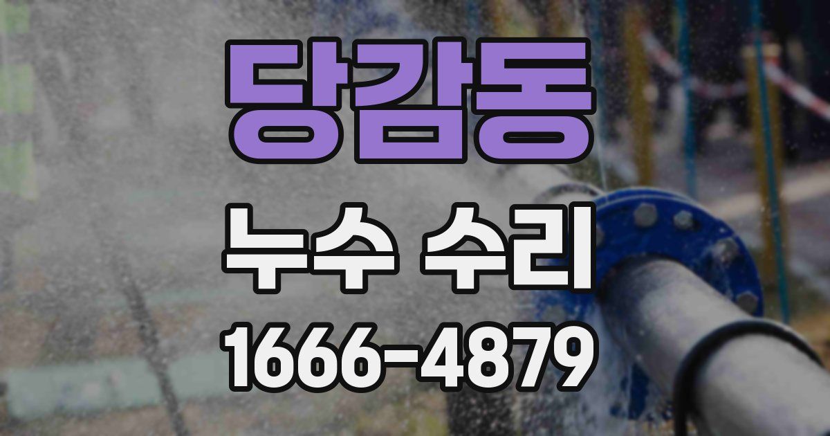 당감동 누수 수리