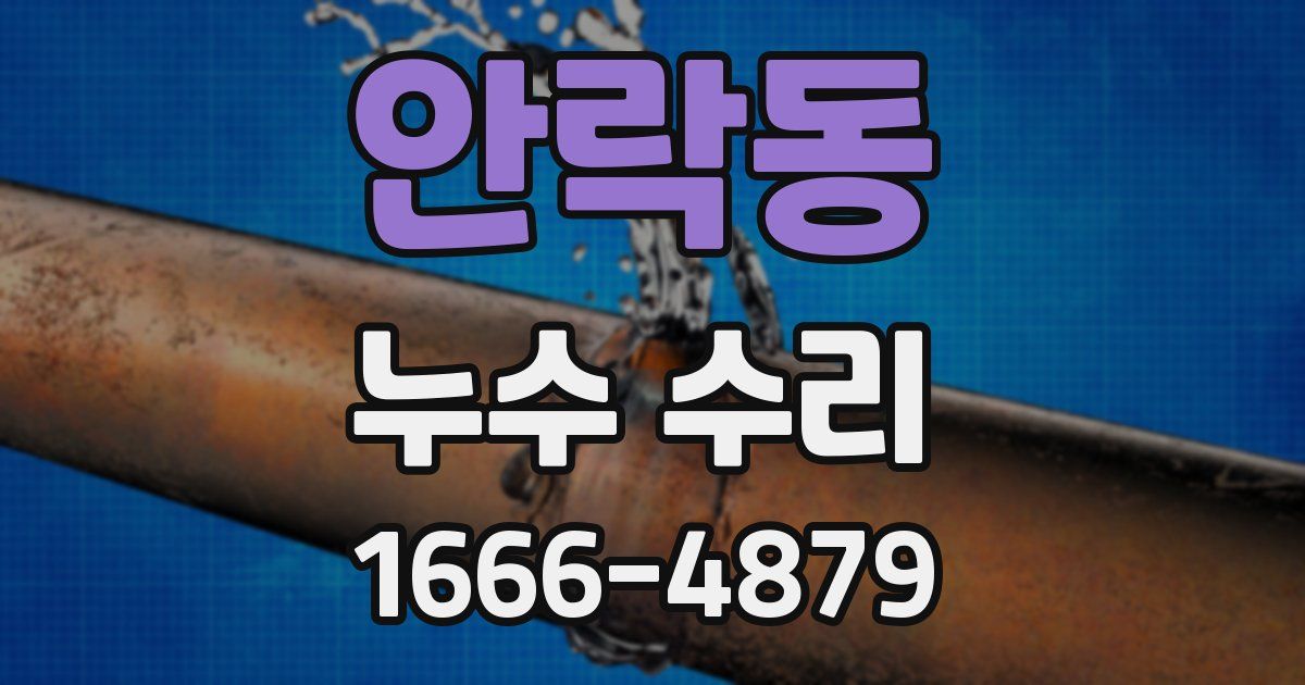 안락동 누수 수리