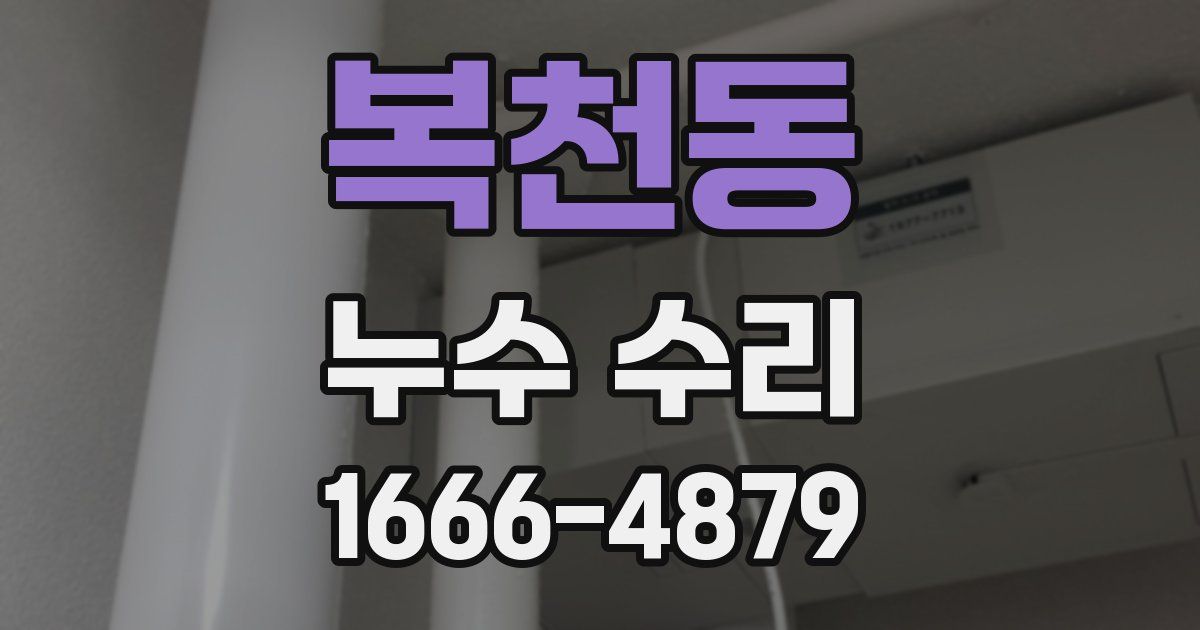복천동 누수 수리