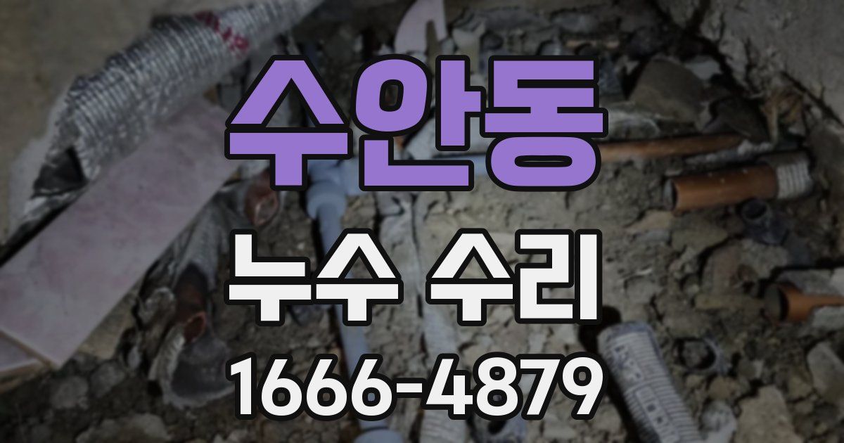 수안동 누수 수리