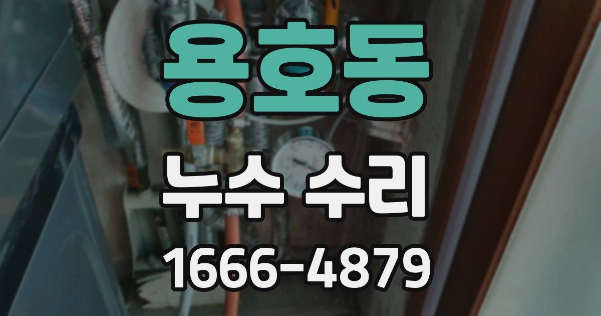 용호동 누수 수리