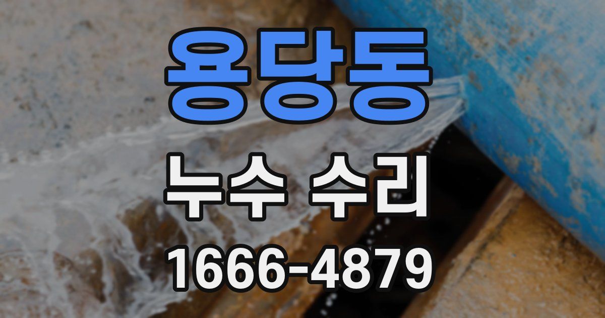 용당동 누수 수리