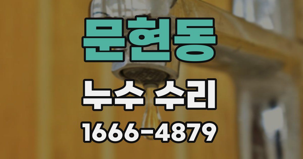 문현동 누수 수리