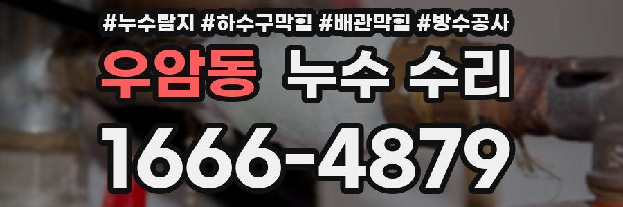 우암동 누수 수리