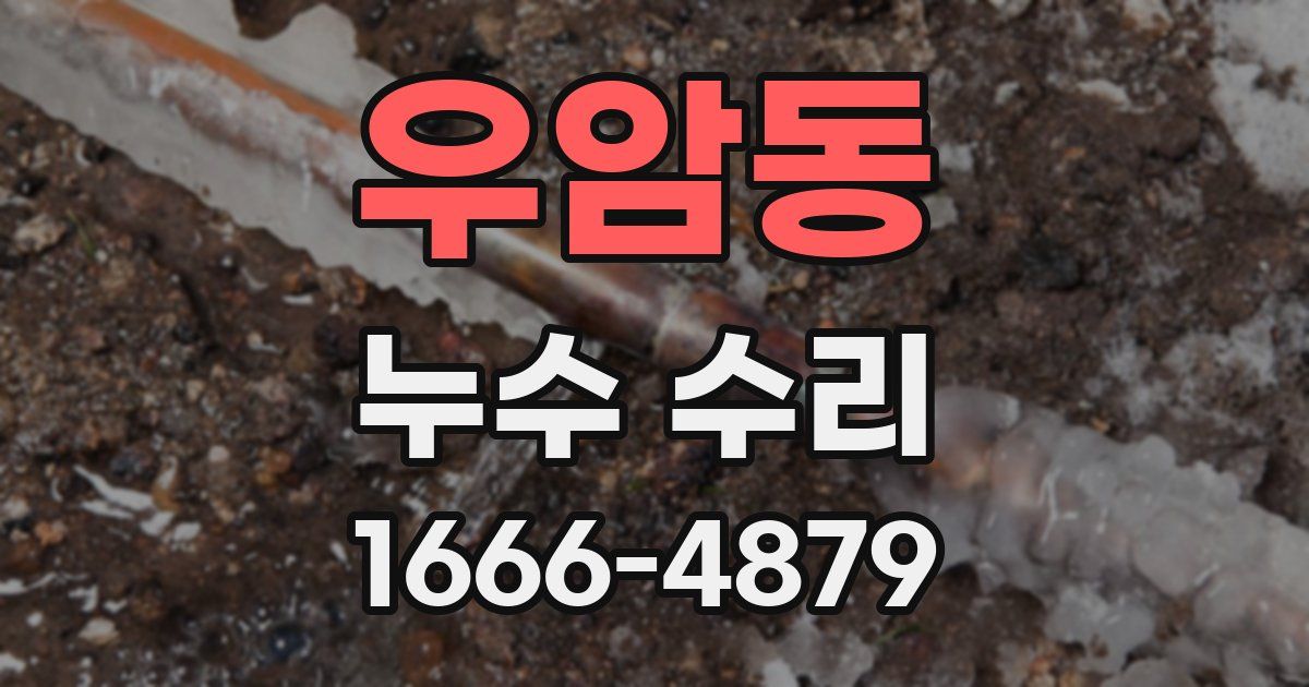 우암동 누수 수리