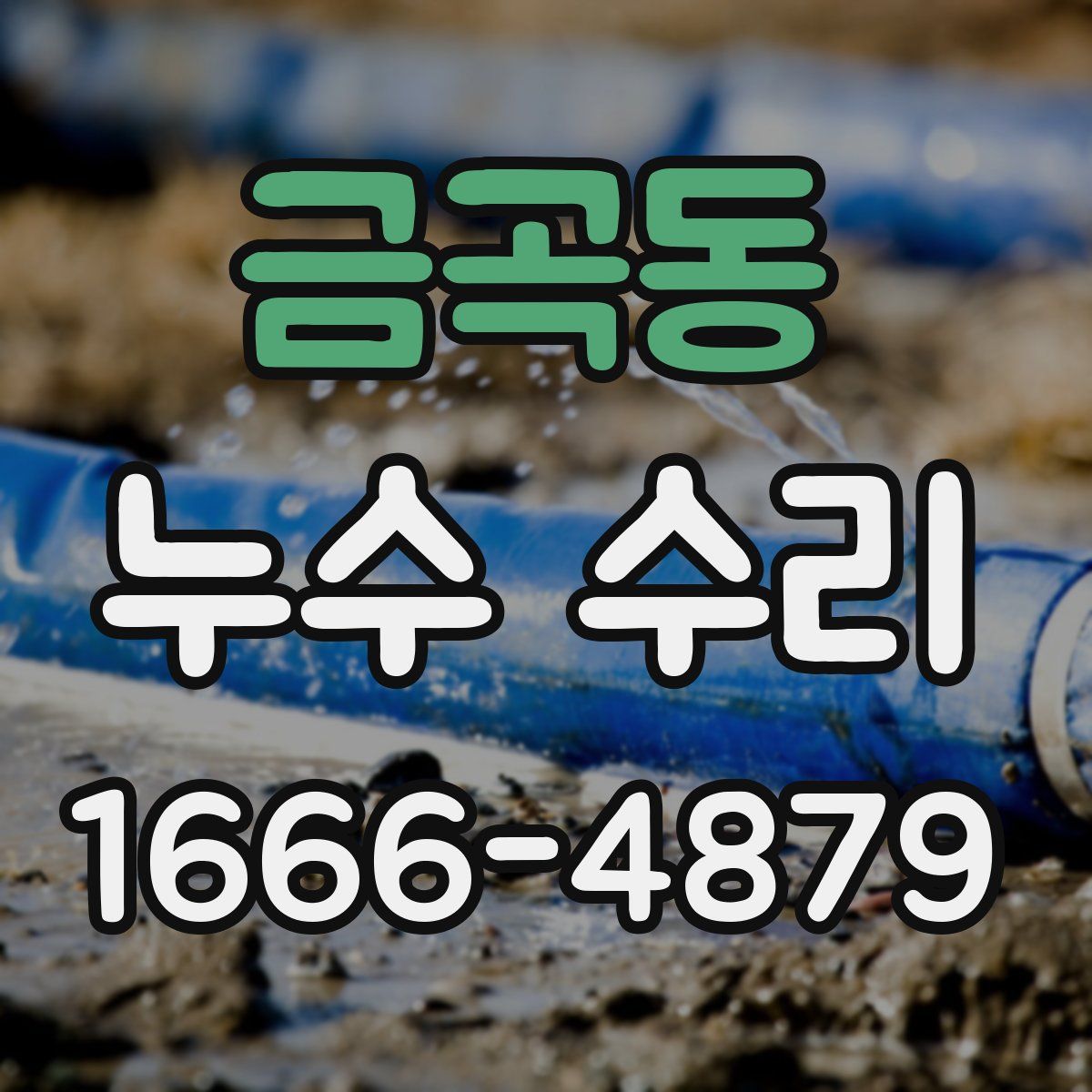 금곡동 누수 수리
