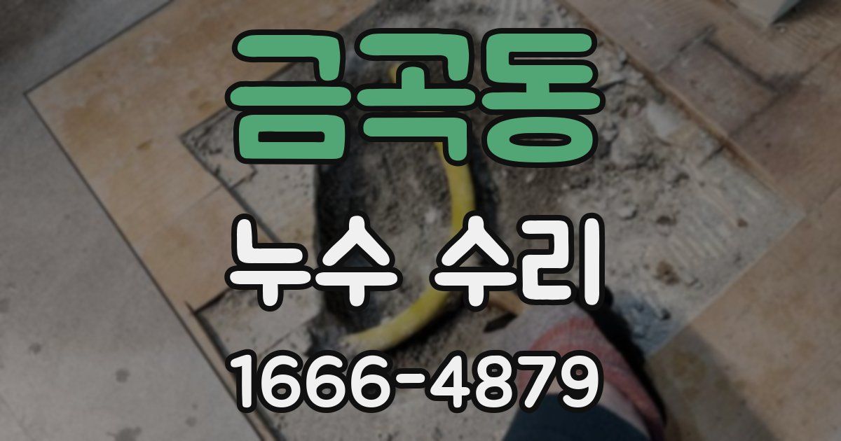금곡동 누수 수리
