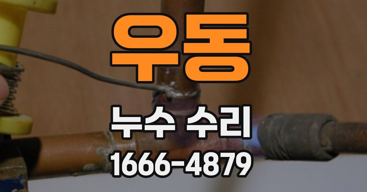 우동 누수 수리