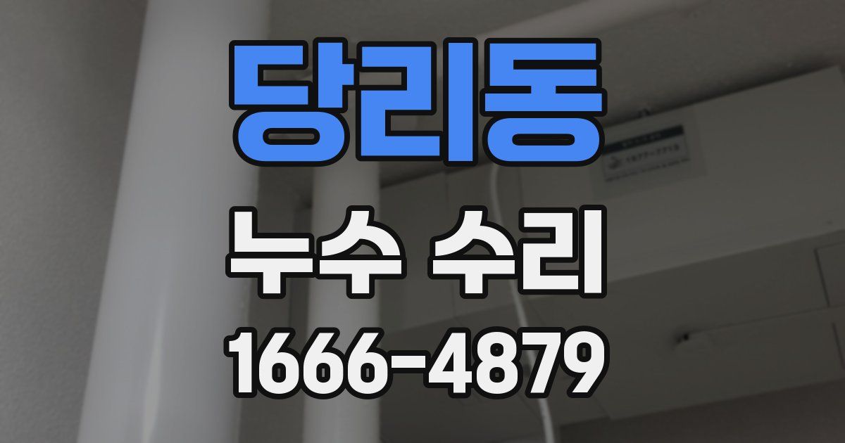 당리동 누수 수리
