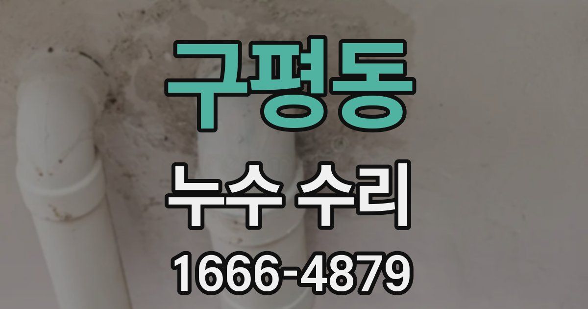 구평동 누수 수리