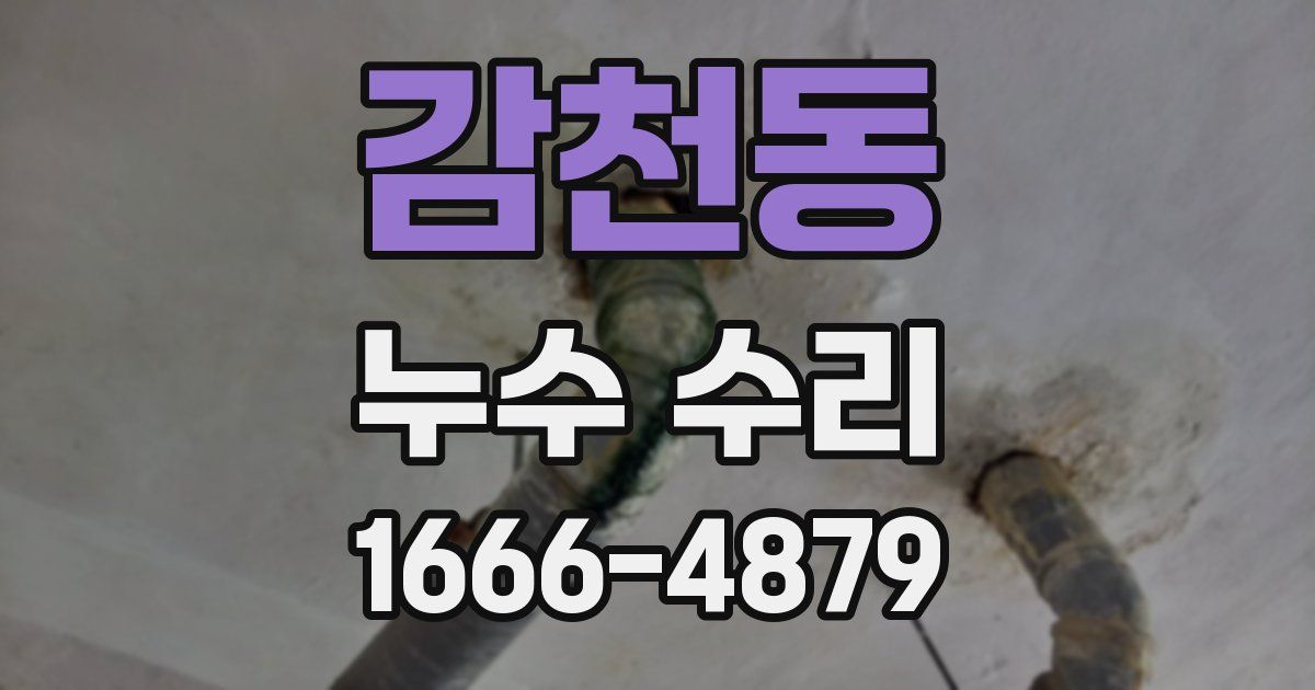 감천동 누수 수리