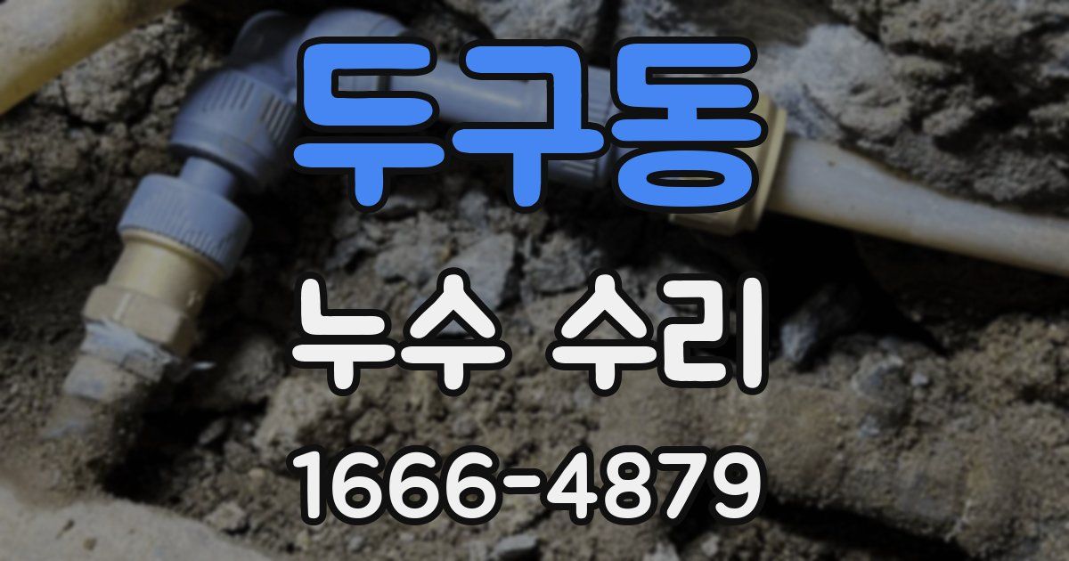 두구동 누수 수리