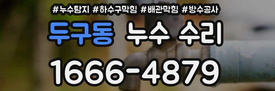 두구동 누수 수리