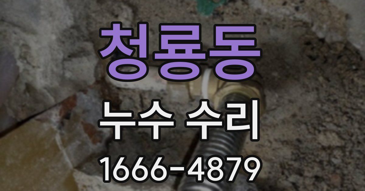 청룡동 누수 수리