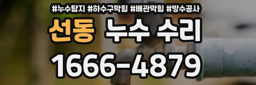 선동 누수 수리