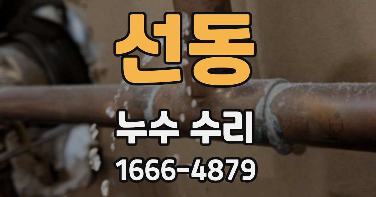 선동 누수 수리
