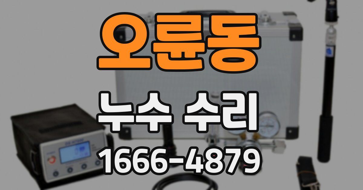 오륜동 누수 수리