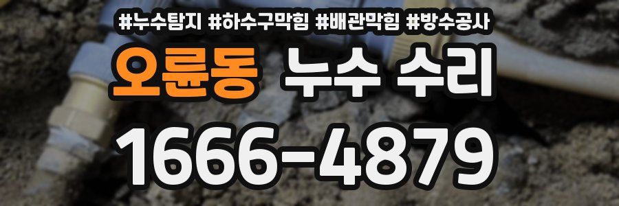 오륜동 누수 수리