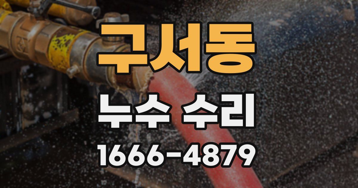 구서동 누수 수리