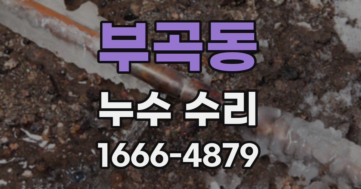 부곡동 누수 수리