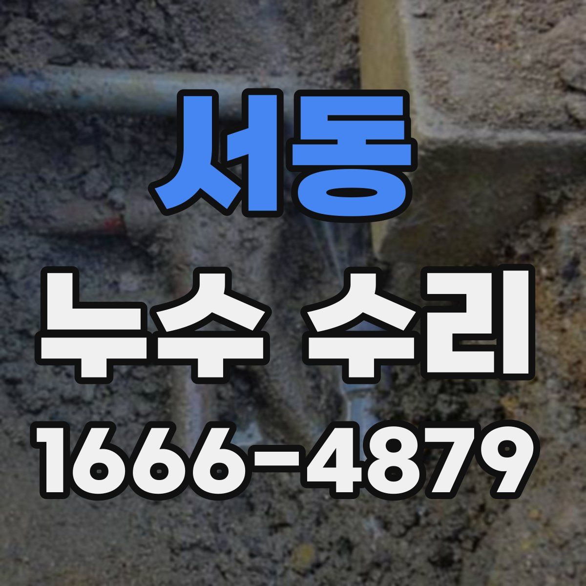 서동 누수 수리