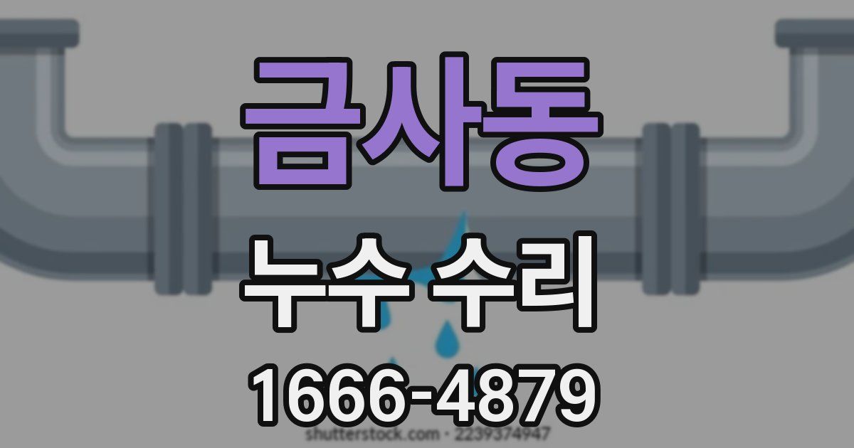 금사동 누수 수리
