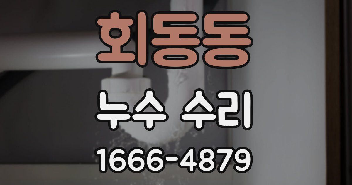 회동동 누수 수리