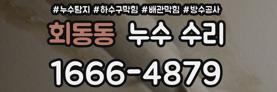 회동동 누수 수리