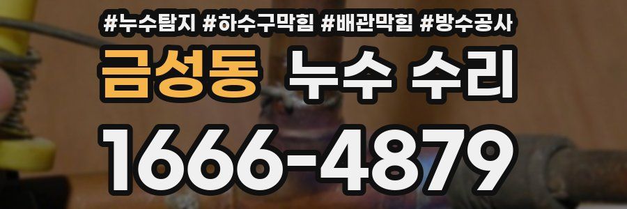 금성동 누수 수리