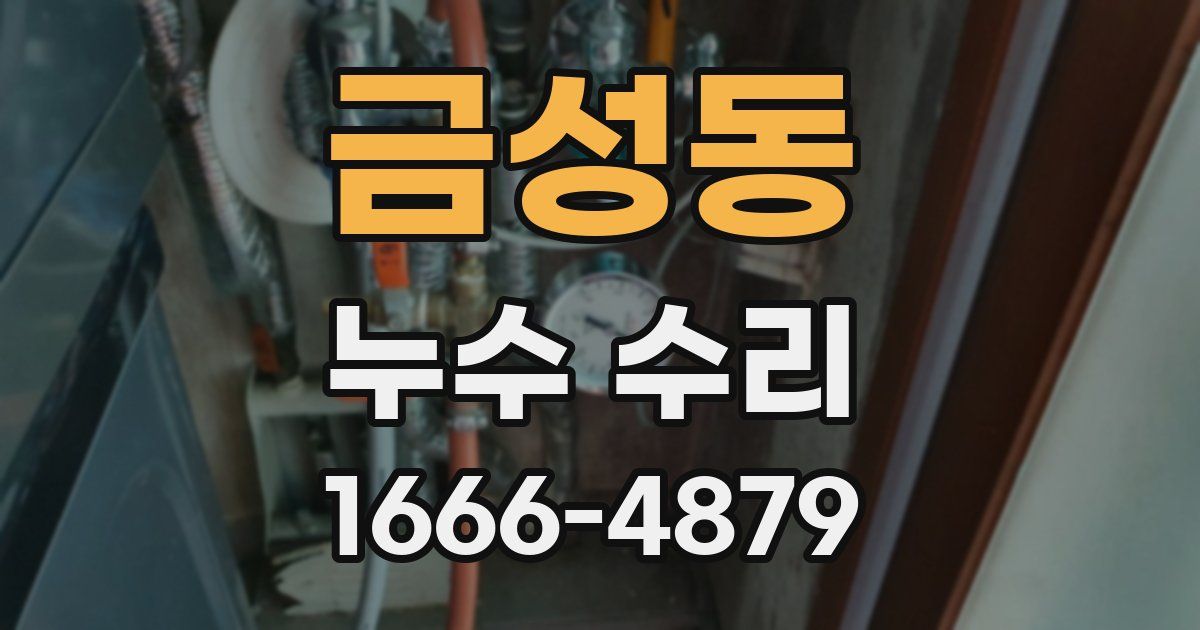 금성동 누수 수리