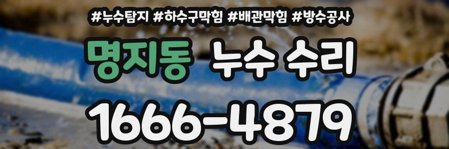 명지동 누수 수리