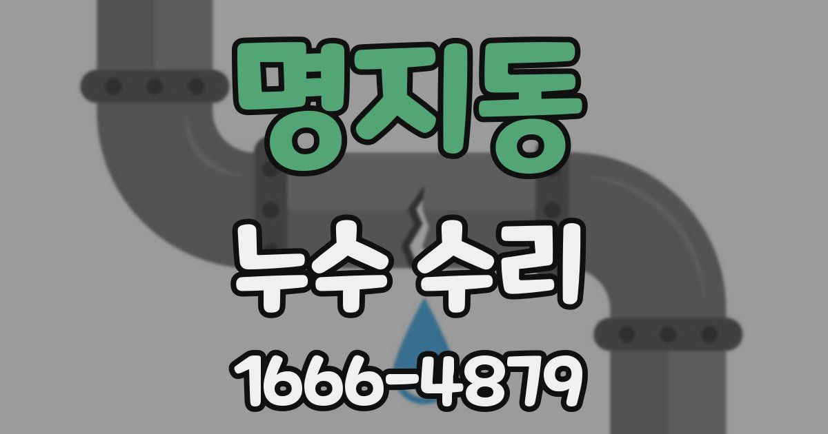 명지동 누수 수리