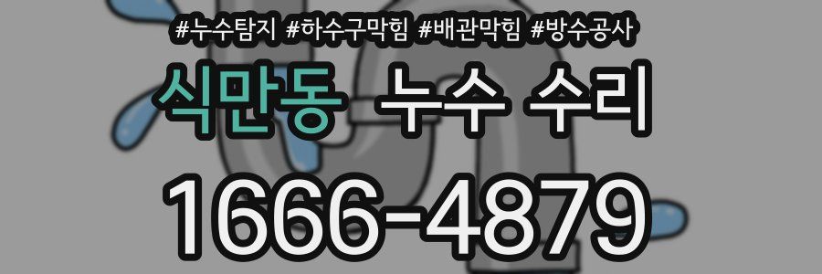 식만동 누수 수리