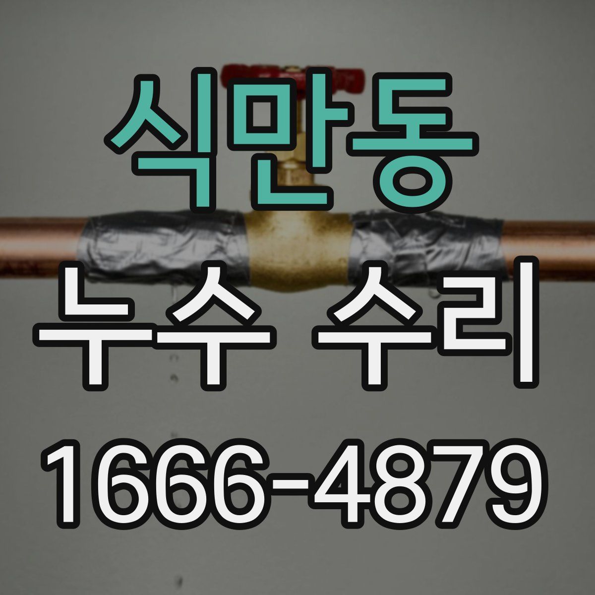식만동 누수 수리