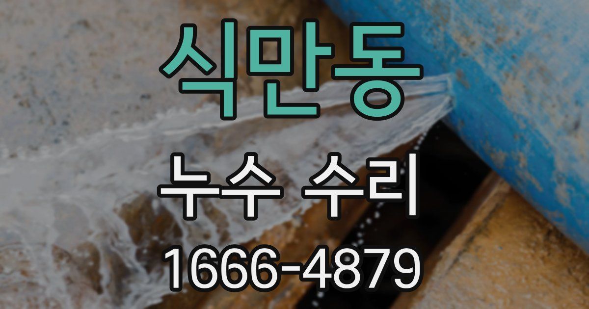 식만동 누수 수리
