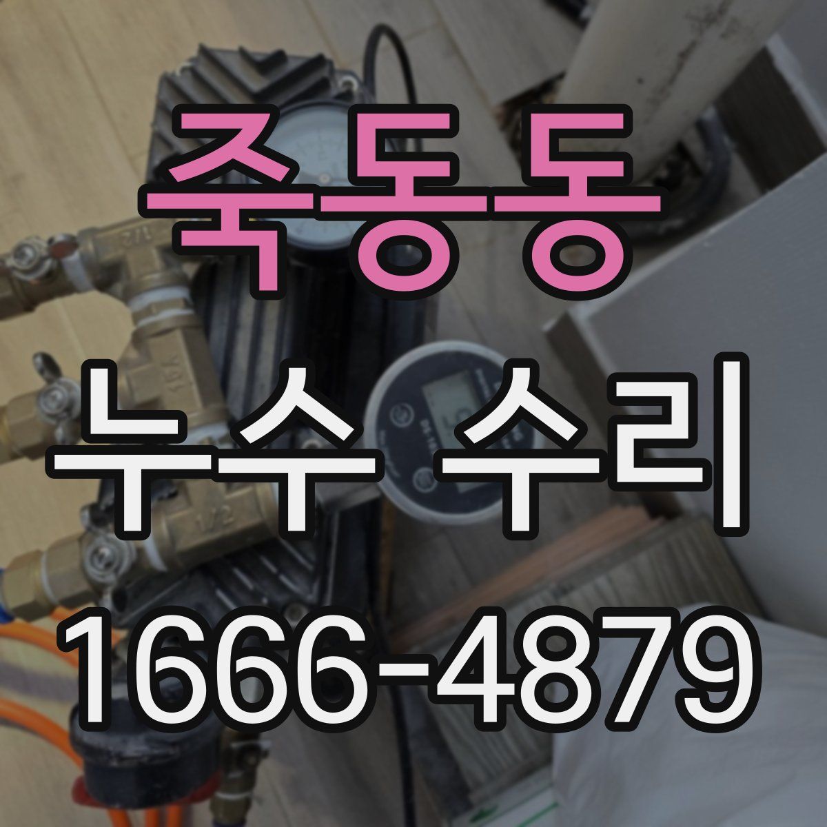 죽동동 누수 수리
