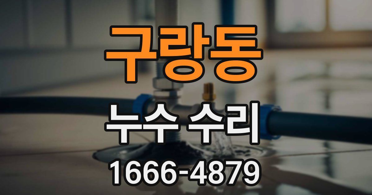 구랑동 누수 수리