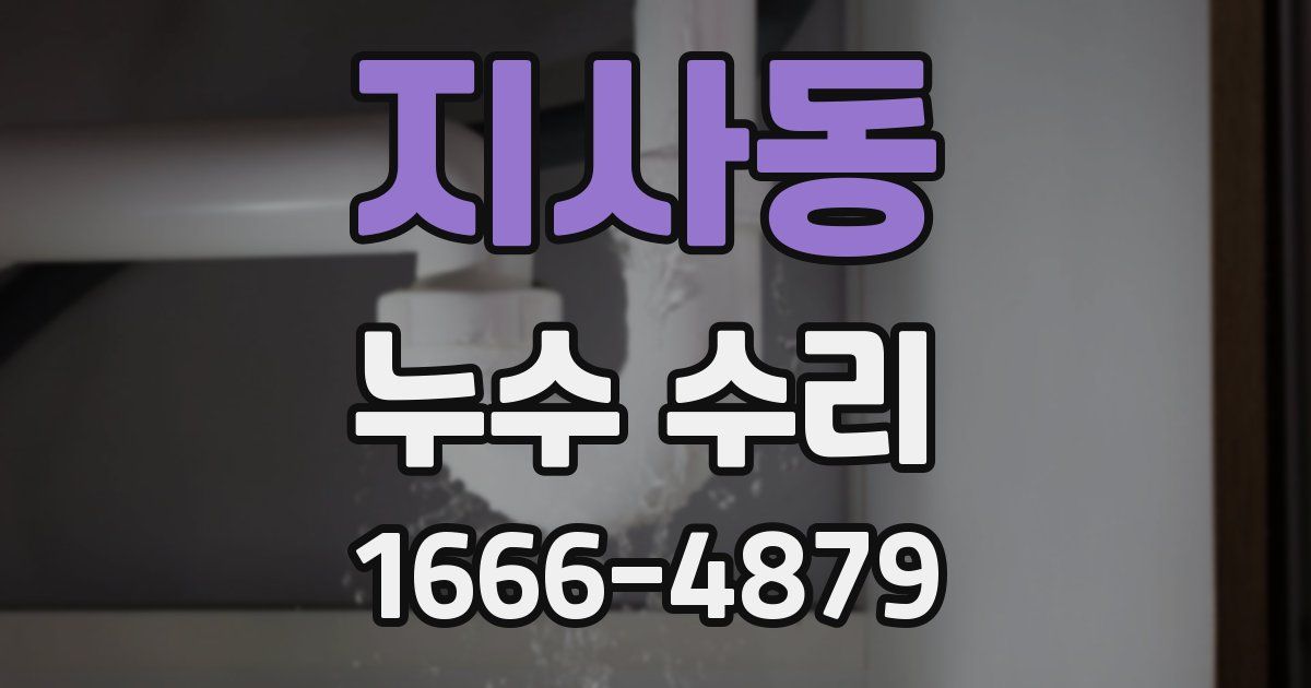 지사동 누수 수리