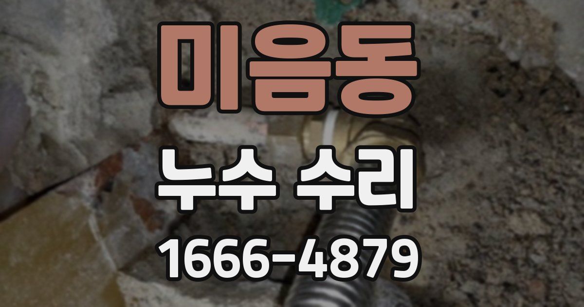 미음동 누수 수리