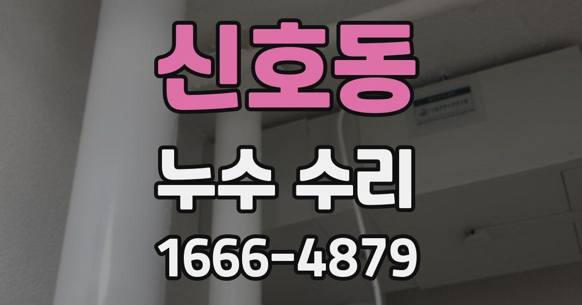 신호동 누수 수리