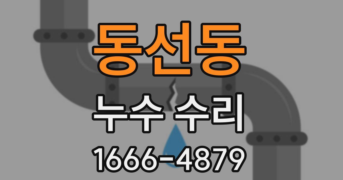 동선동 누수 수리