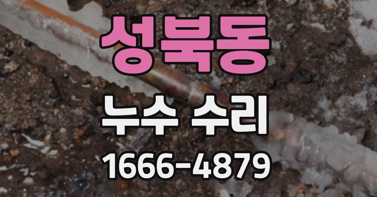 성북동 누수 수리