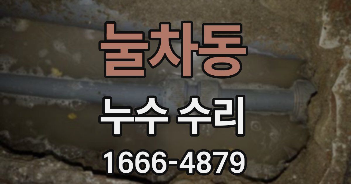 눌차동 누수 수리