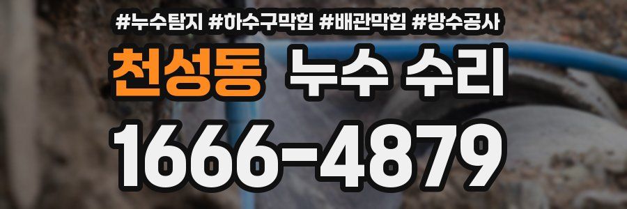 천성동 누수 수리